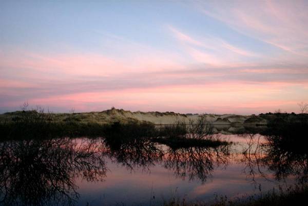 Oregon Dunes