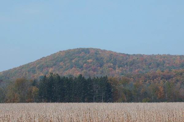 Fall In The Hills