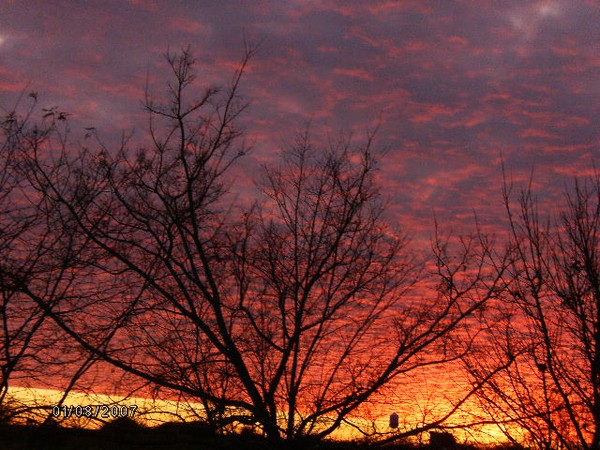 Winter Sunset