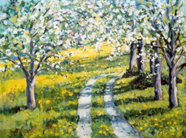 Apple Orchard