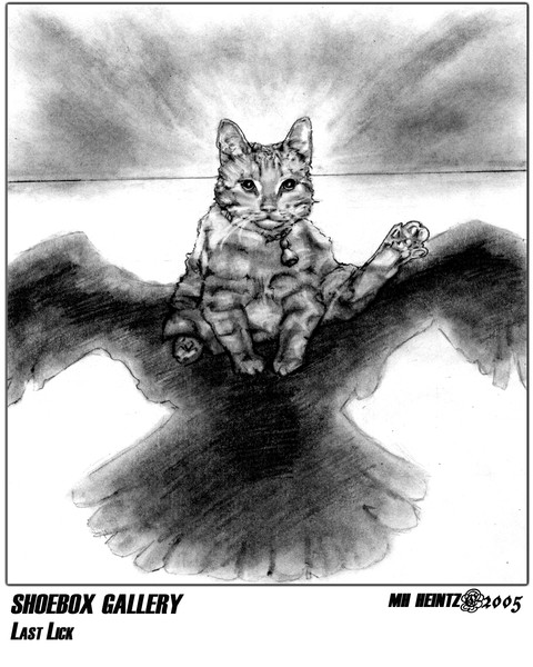 SHOEBOX GALLERY: LAST LICK