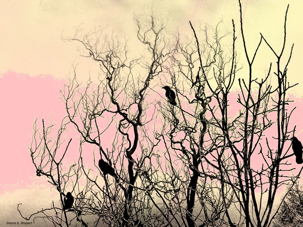 Almost Morning
