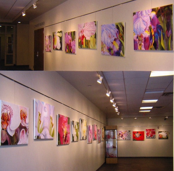 A show of Flowers
