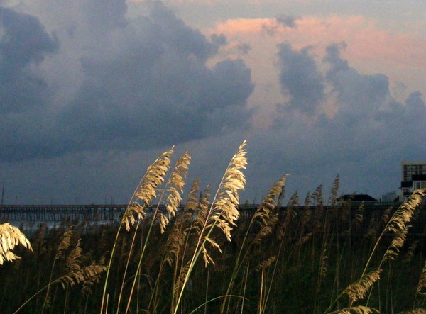 Surfside Morning