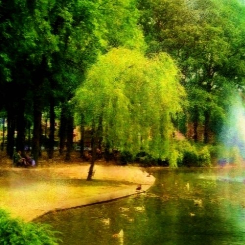 Fountain