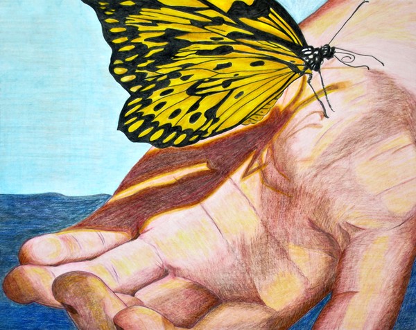Tree Nymph on Hand