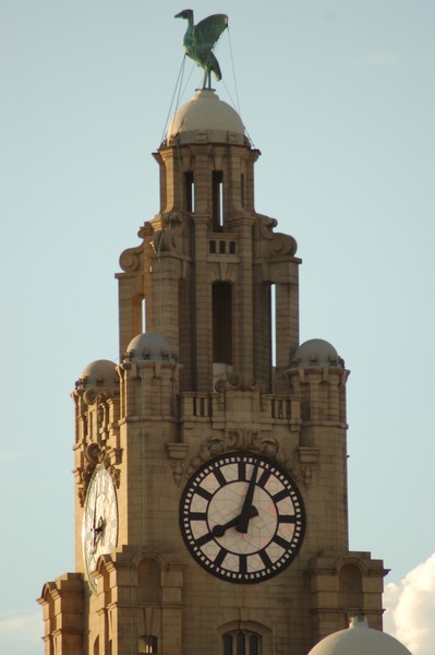 Liver Buildings