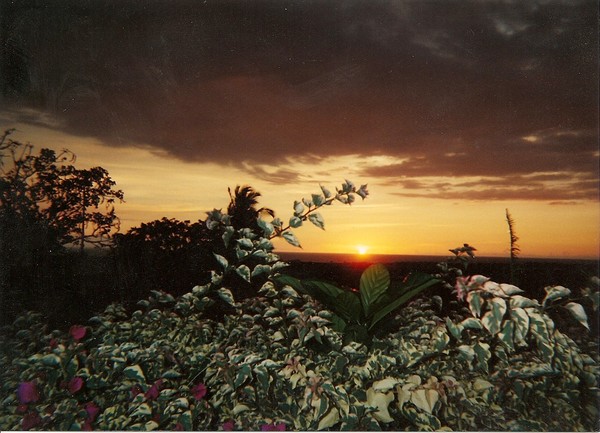 BIG ISLAND SUNSET
