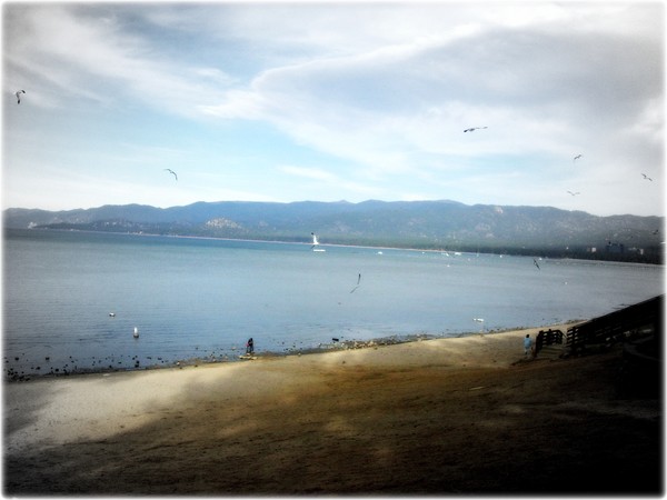 Another Tahoe photo