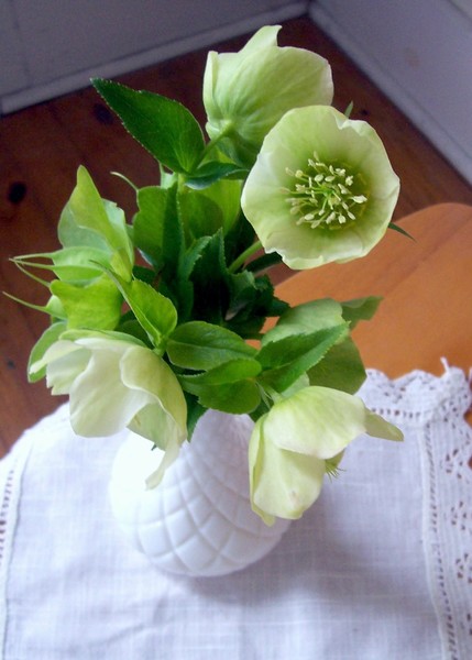 Vintage Linen. Photo.