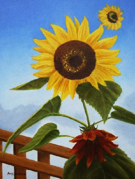Ali's Sunflowers