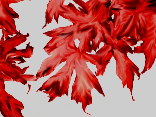 leaf print