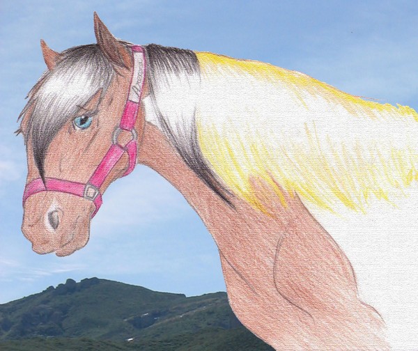 Stable mare