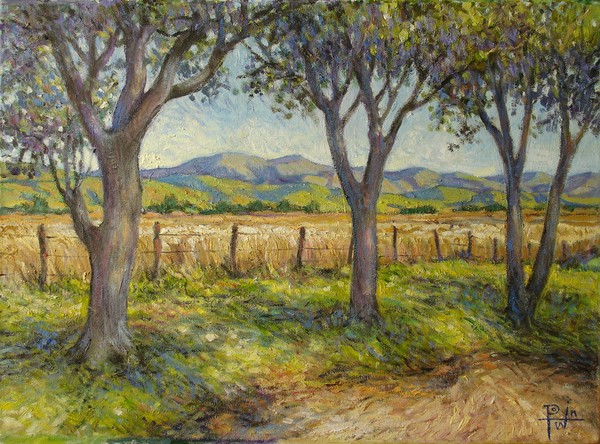 3 Trees
