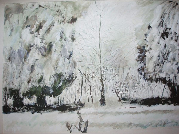 my garden under snow
