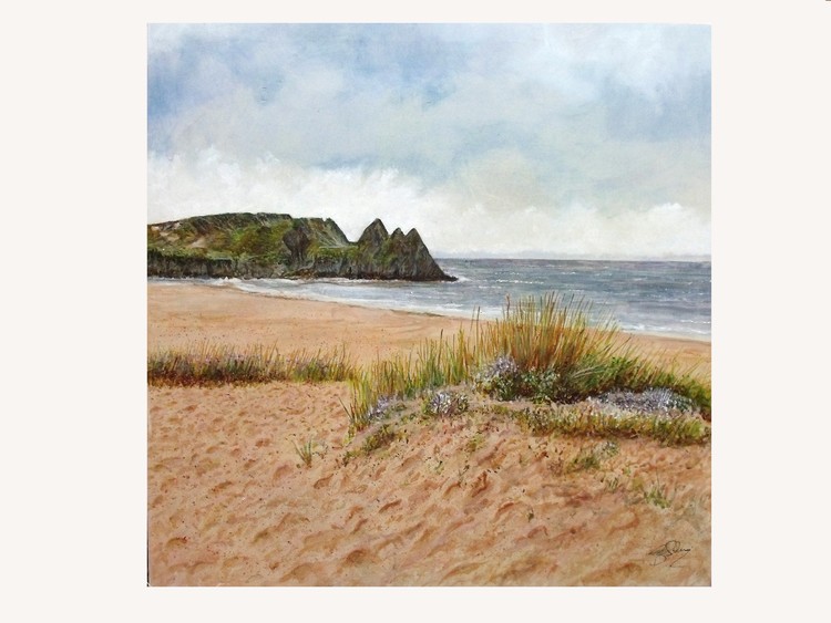 WEST WALES COAST