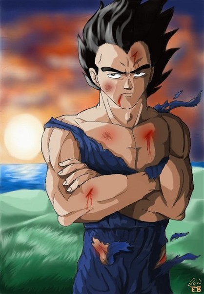 His Majesty, Prince Vegeta....