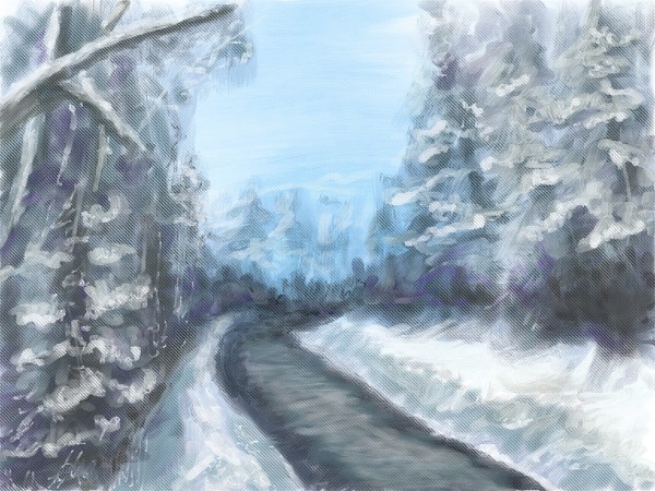 road throught the snow