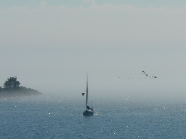 Coming out of the Fog