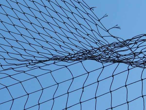 NET..neat in the sky..