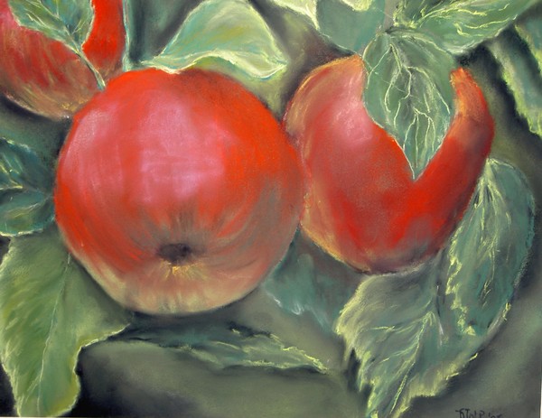 An apple a day keeps the doctor away