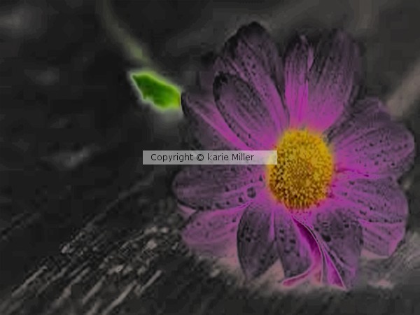 flower 1