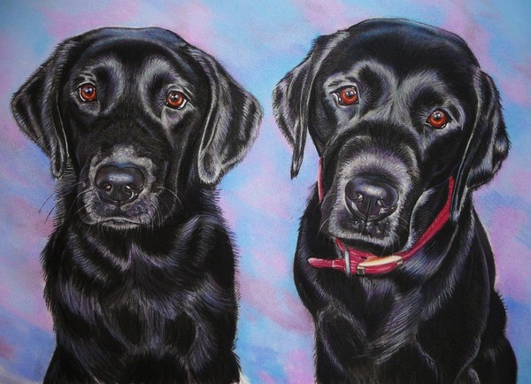 Charlie And Bruce