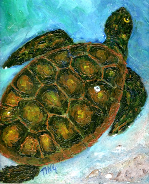 Loggerhead turtle