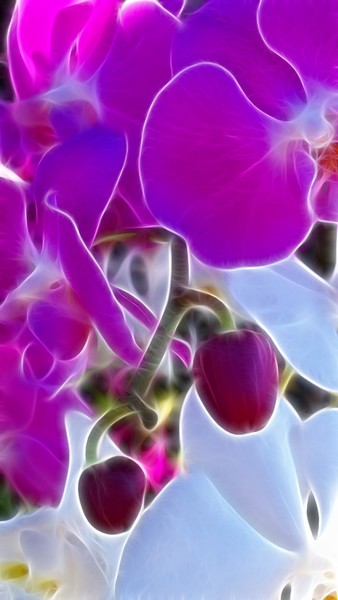 Fractalius Florals