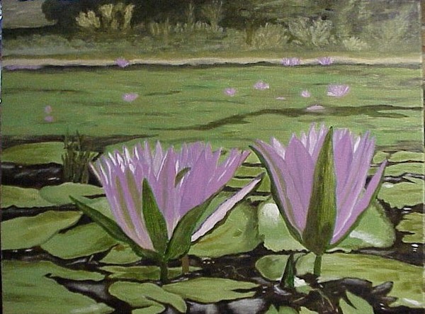 Water Lillies