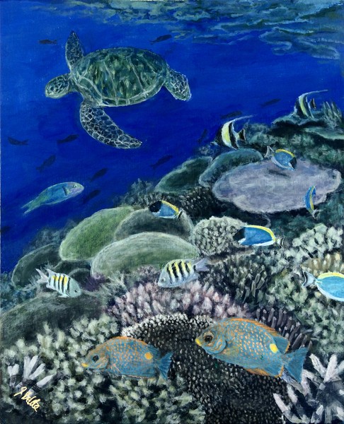 Coral Reef Cruising