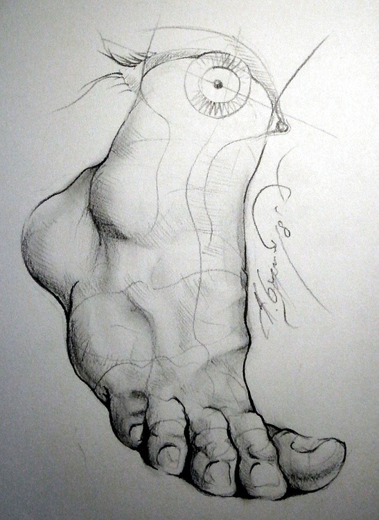 The fish