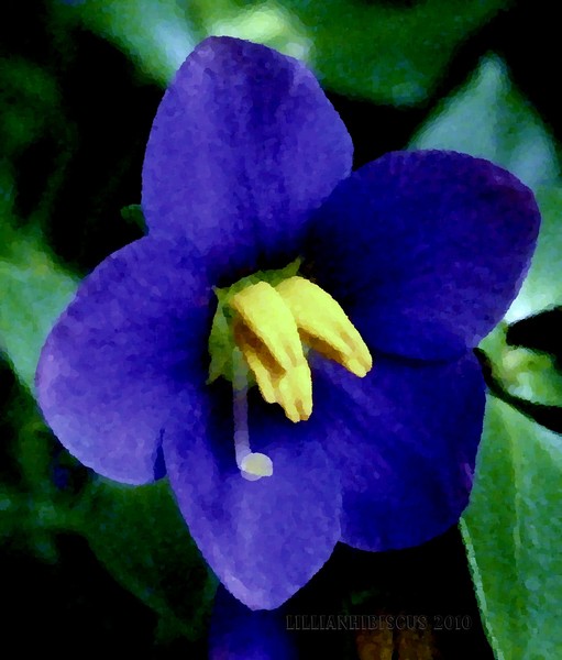Deep Blue