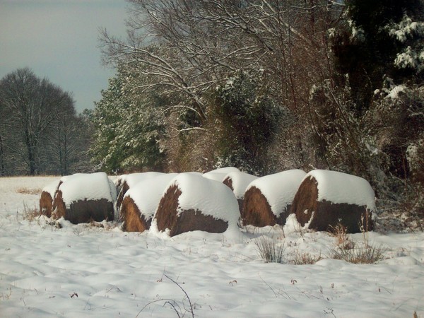 Frosted Bales