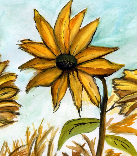 Sunflowers