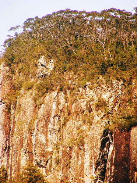 Life on the Edge - Australia