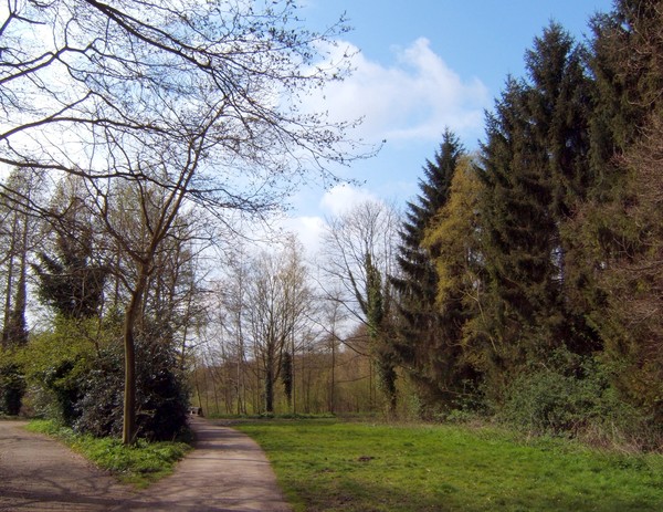 Pathways