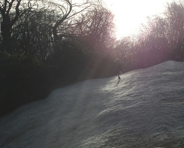 Winter Sun