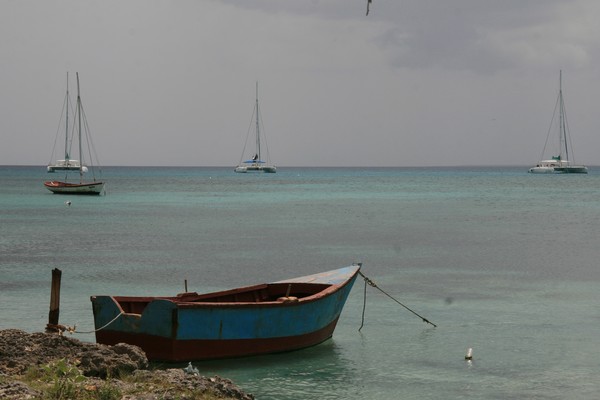 Bayahibe, DR (near La Romana) #5
