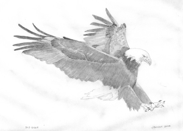 Eagle