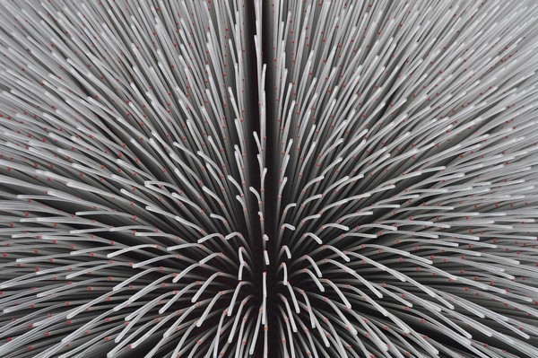 Seed cathedral outside