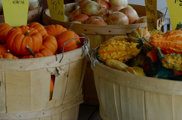 gourds and such