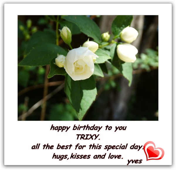 happy birthday 2014 FOR TRIXI.