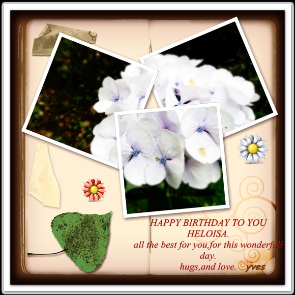 HAPPY BIRTHDAY HELOISA 2014