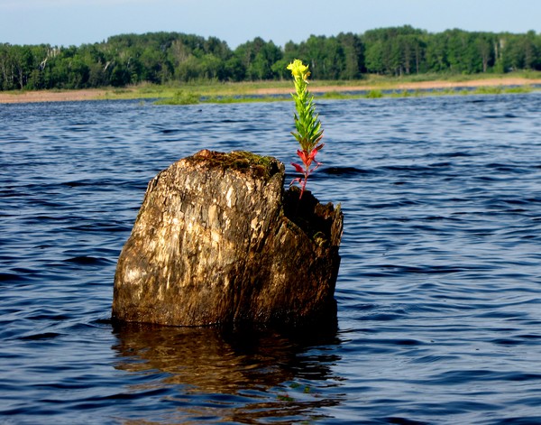 Living on the Edge!