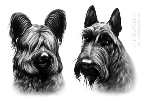 Hugo & Otto