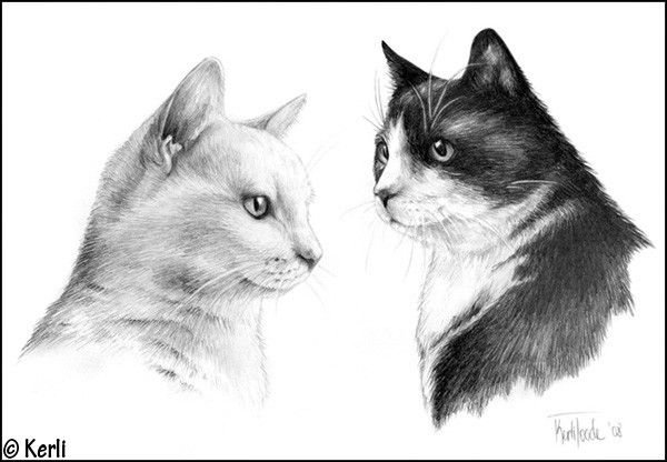 Missy & Kurru