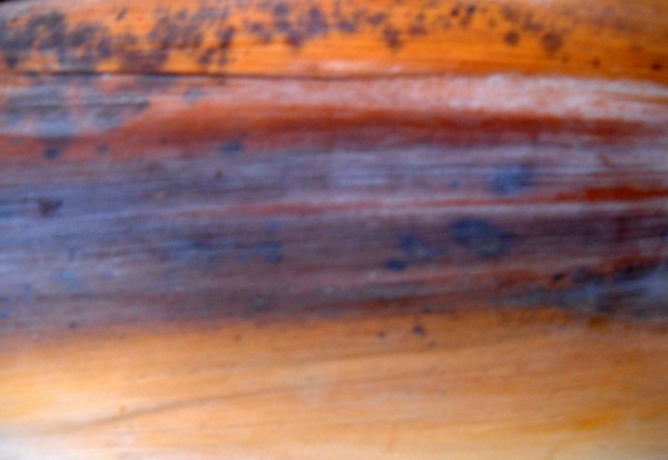 Bark Abstract