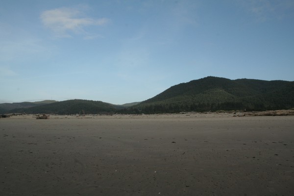 Forest Beach