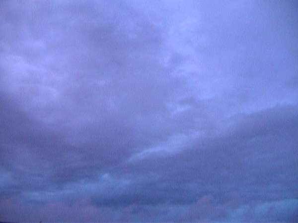 Violet Sky